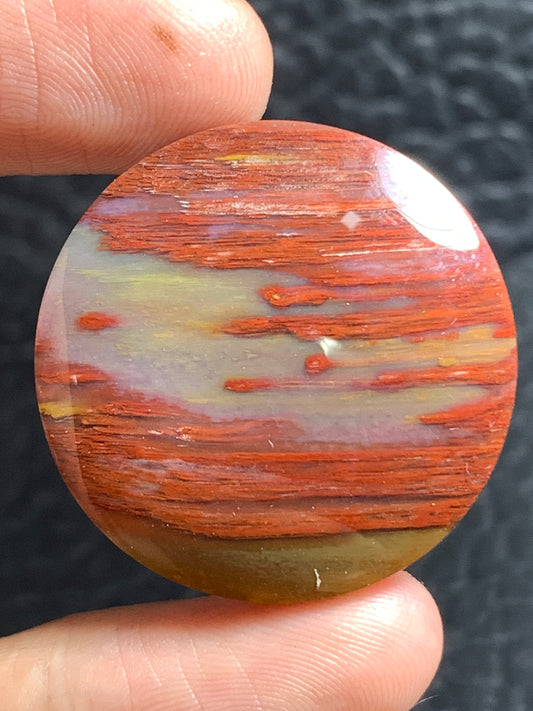 Unique Multicolor Petrified Palmwood Round Cabochon 29x29x5.7mm