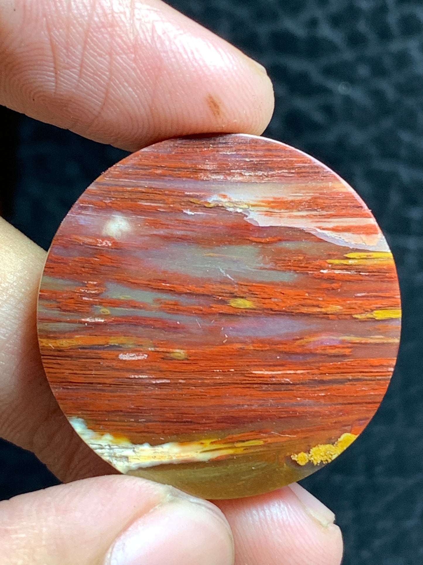 Unique Multicolor Petrified Palmwood Round Cabochon 29x29x5.7mm