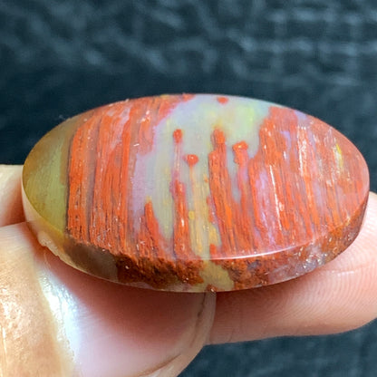 Unique Multicolor Petrified Palmwood Round Cabochon 29x29x5.7mm