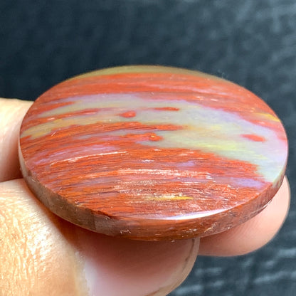 Unique Multicolor Petrified Palmwood Round Cabochon 29x29x5.7mm