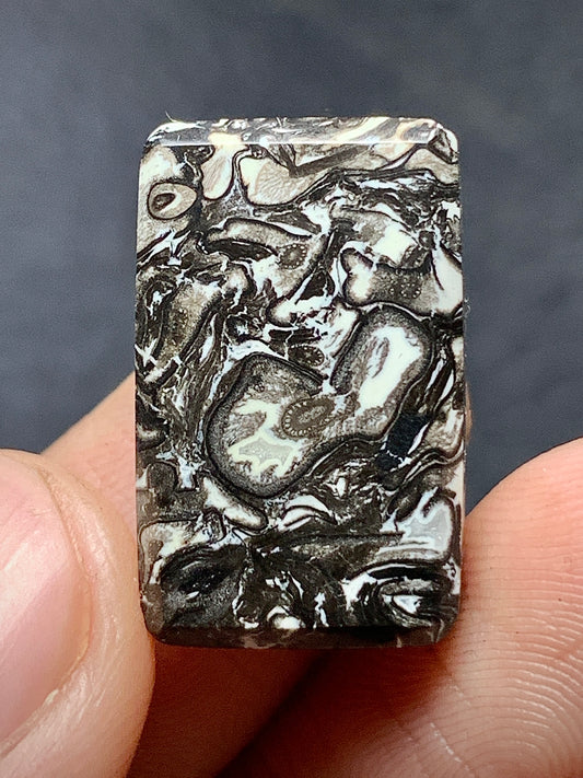 Black Petrified Palm Root Rectangle Cabochon 20x12.5x4.5mm