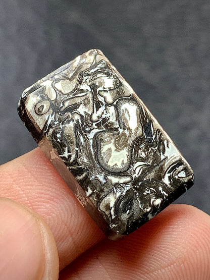 Black Petrified Palm Root Rectangle Cabochon 20x12.5x4.5mm