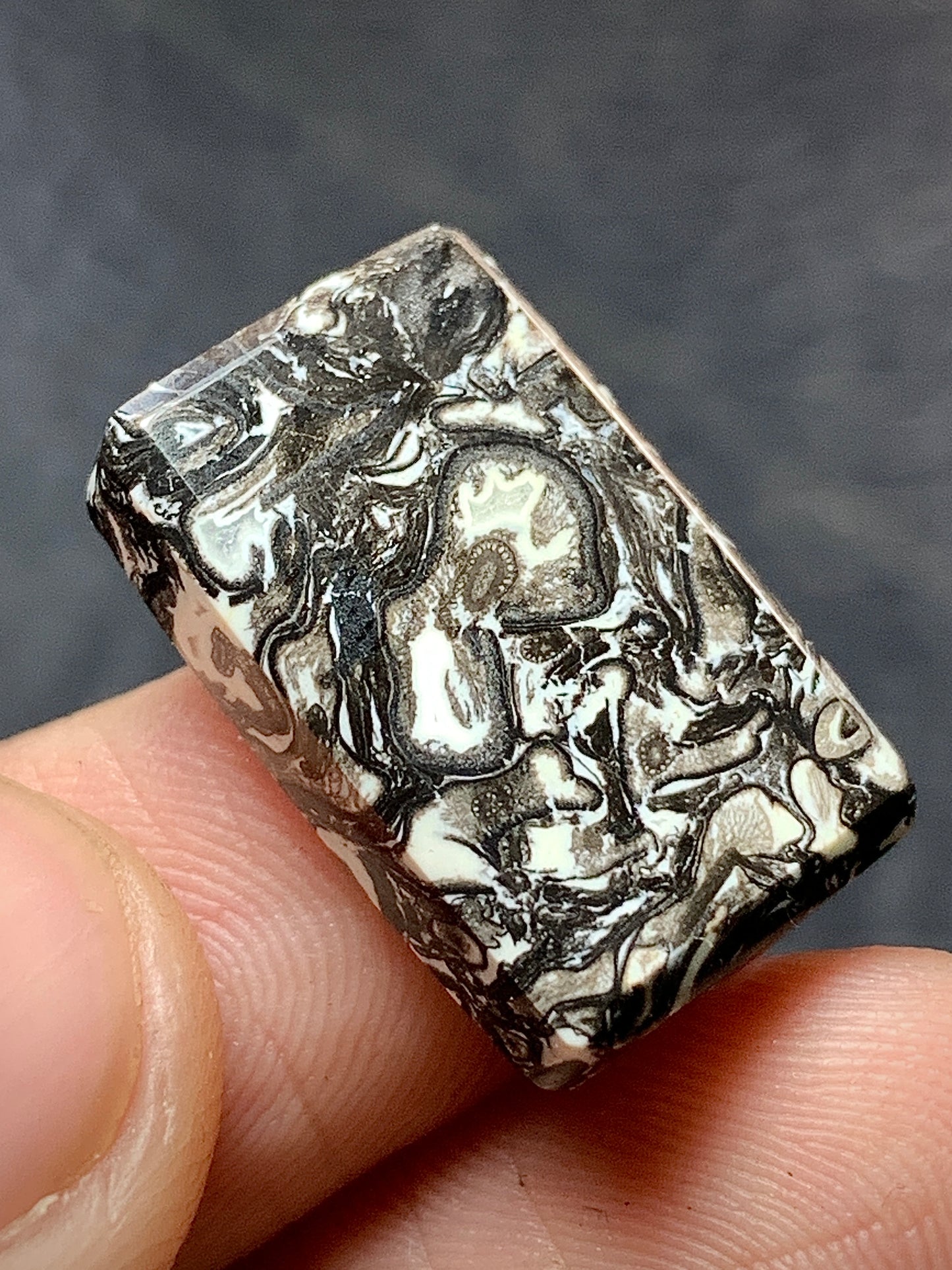 Black Petrified Palm Root Rectangle Cabochon 20x12.5x4.5mm