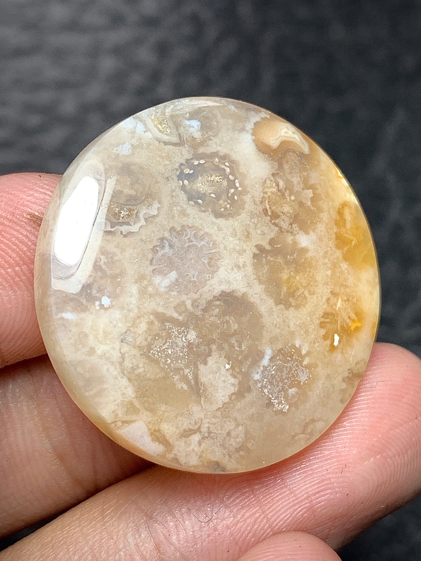 Coral Fossil Round Cabochon 27x27x5.6mm