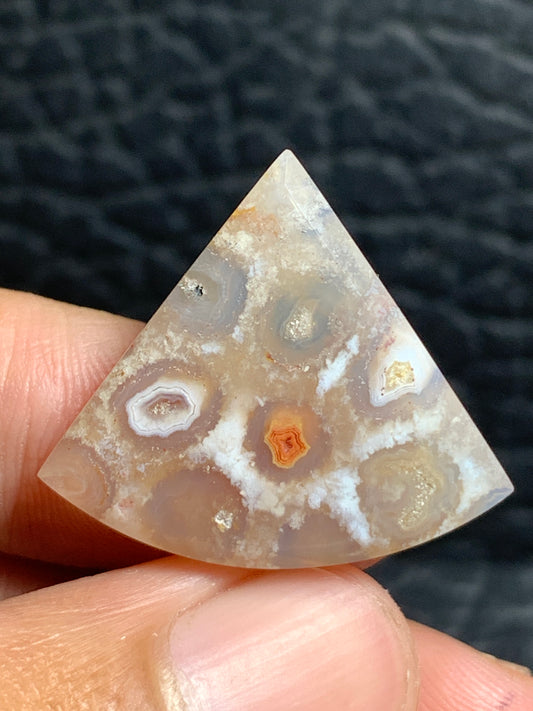 Unique Coral Fossil Teardrop Cabochon 25x22.1x4.8mm