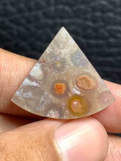 Unique Coral Fossil Teardrop Cabochon 25x22.1x4.8mm