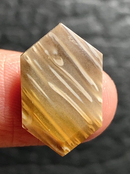 Petrified Palmwood Hexagon Cabochon 18.5x11.5x3.5mm