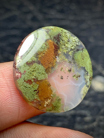 Scenic Moss Agate Round Cabochon 19.3x19.3x3.8mm