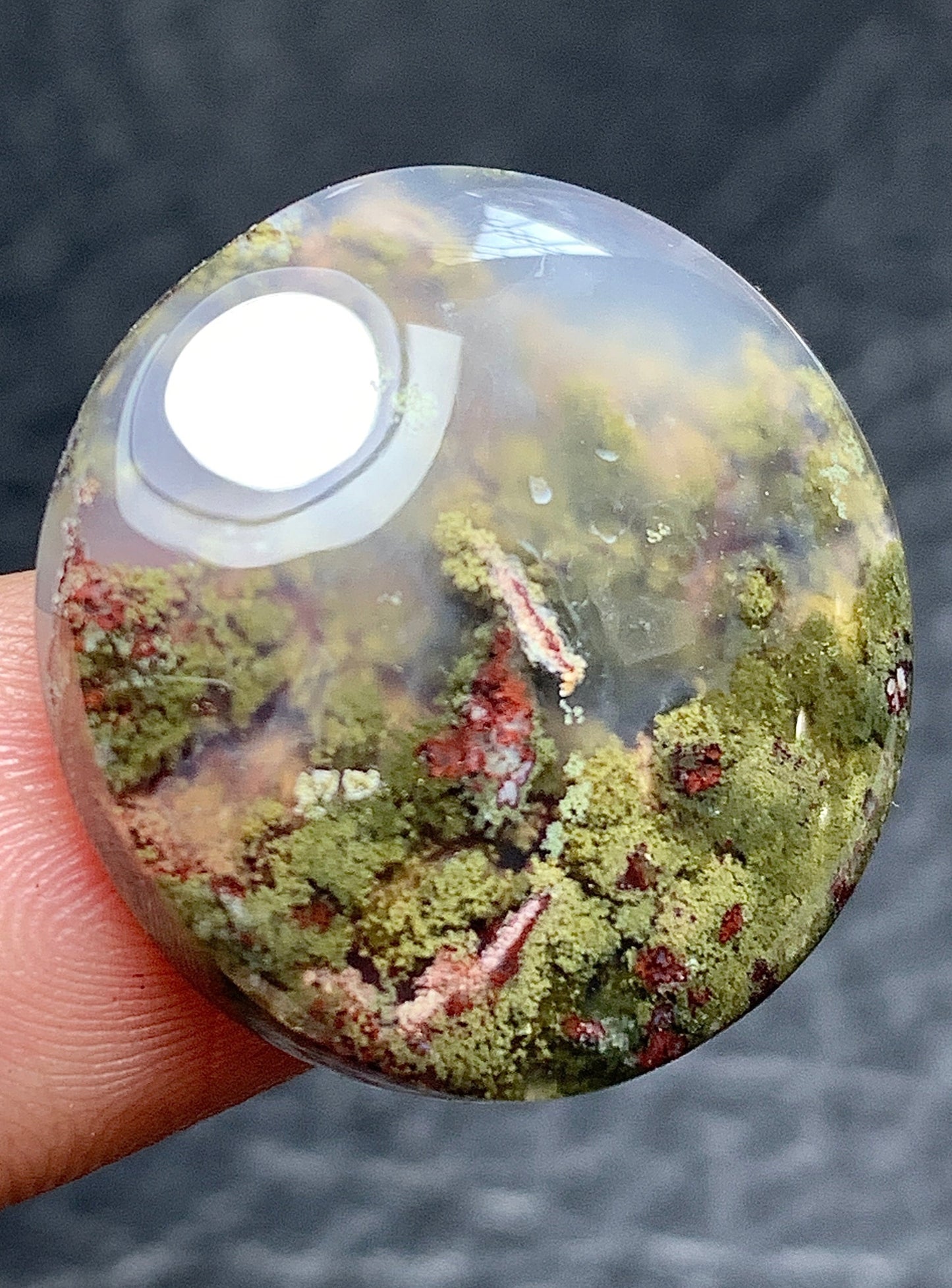 Scenic Moss Agate Round Cabochon 22.5x22.5x4.9mm