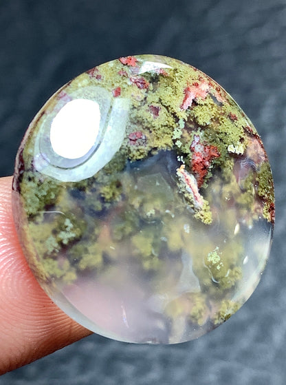 Scenic Moss Agate Round Cabochon 22.5x22.5x4.9mm