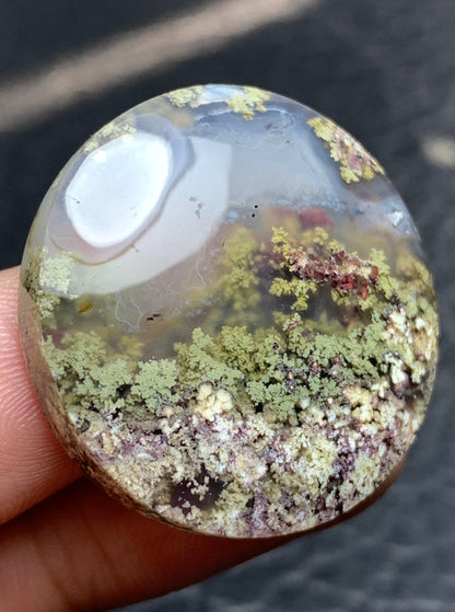 Unique Scenic Moss Agate Round Cabochon 28.5x28.5x7.8mm