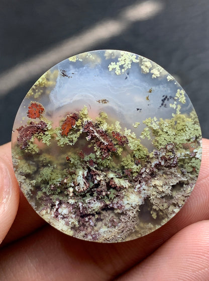 Unique Scenic Moss Agate Round Cabochon 28.5x28.5x7.8mm