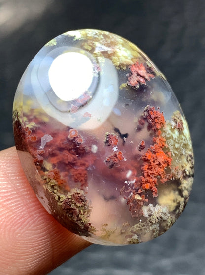 Scenic Moss Agate Oval Cabochon 23.5x19x7mm