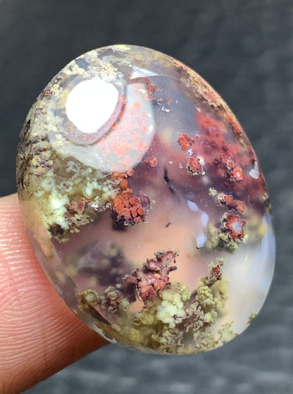 Scenic Moss Agate Oval Cabochon 23.5x19x7mm