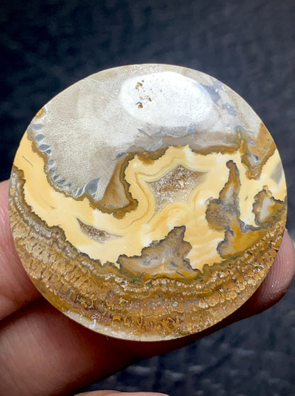 Petrified Wood Round Cabochon 33x33x6.5 mm