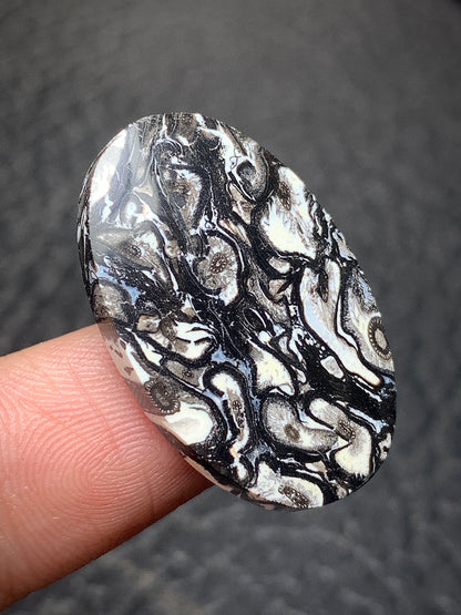 Black Palmroot Oval Cabochon 28x17.8x5mm