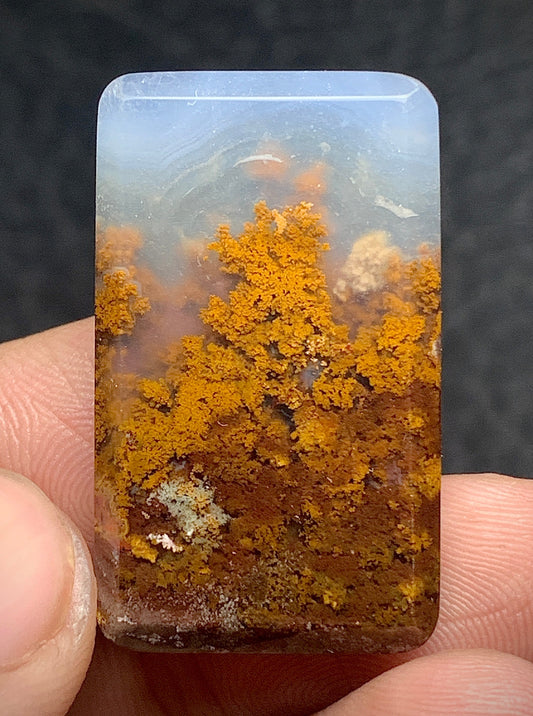 Scenic Moss Agate Rectangle Cabochon 30x18x5 mm