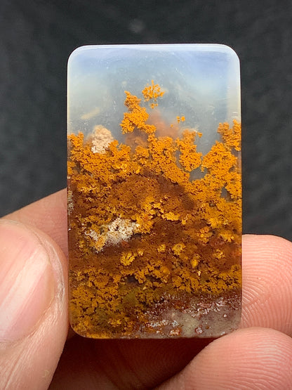 Scenic Moss Agate Rectangle Cabochon 30x18x5 mm