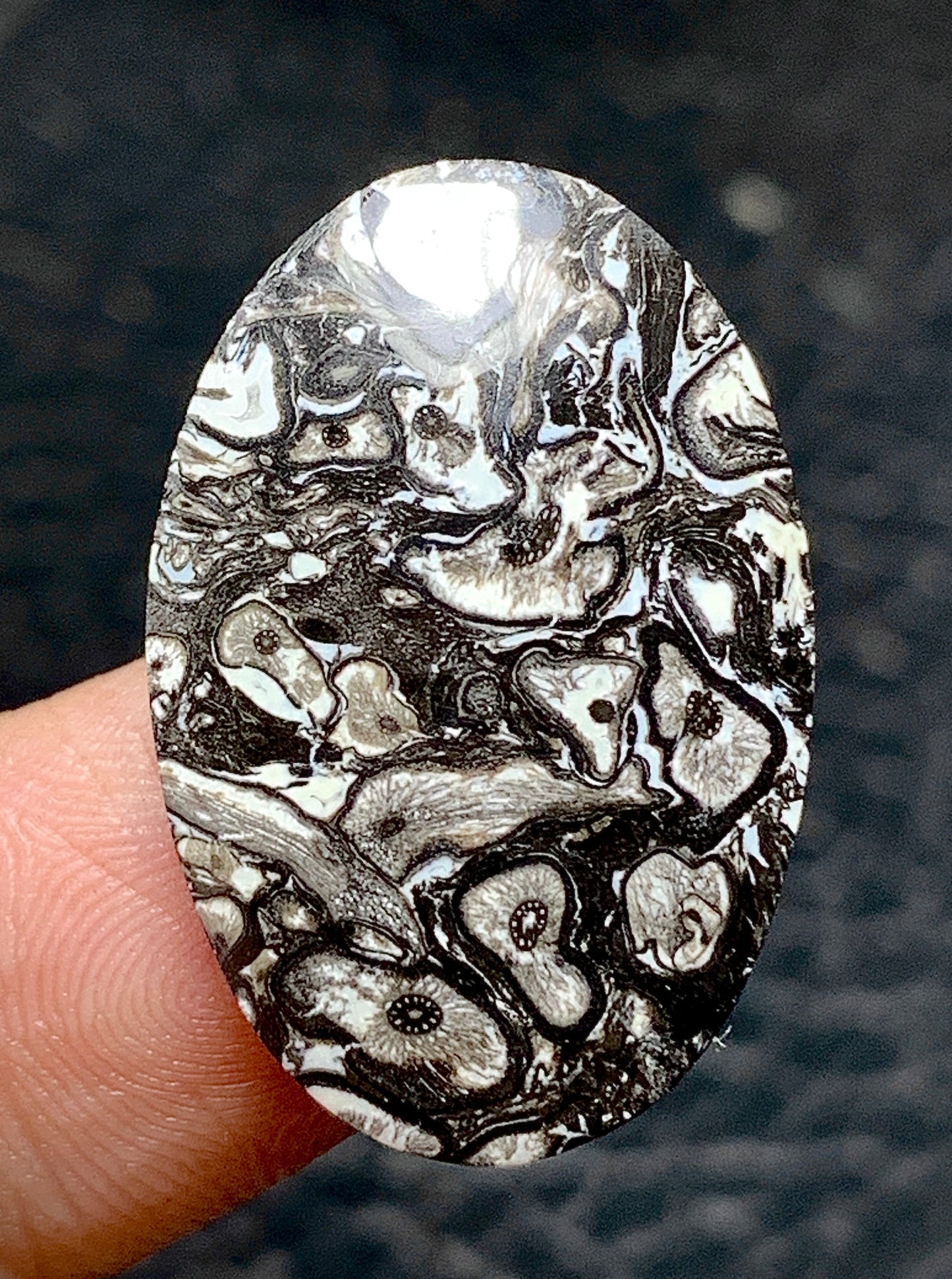 Unique Palmroot Oval Cabochon 26.5x17.5x5mm