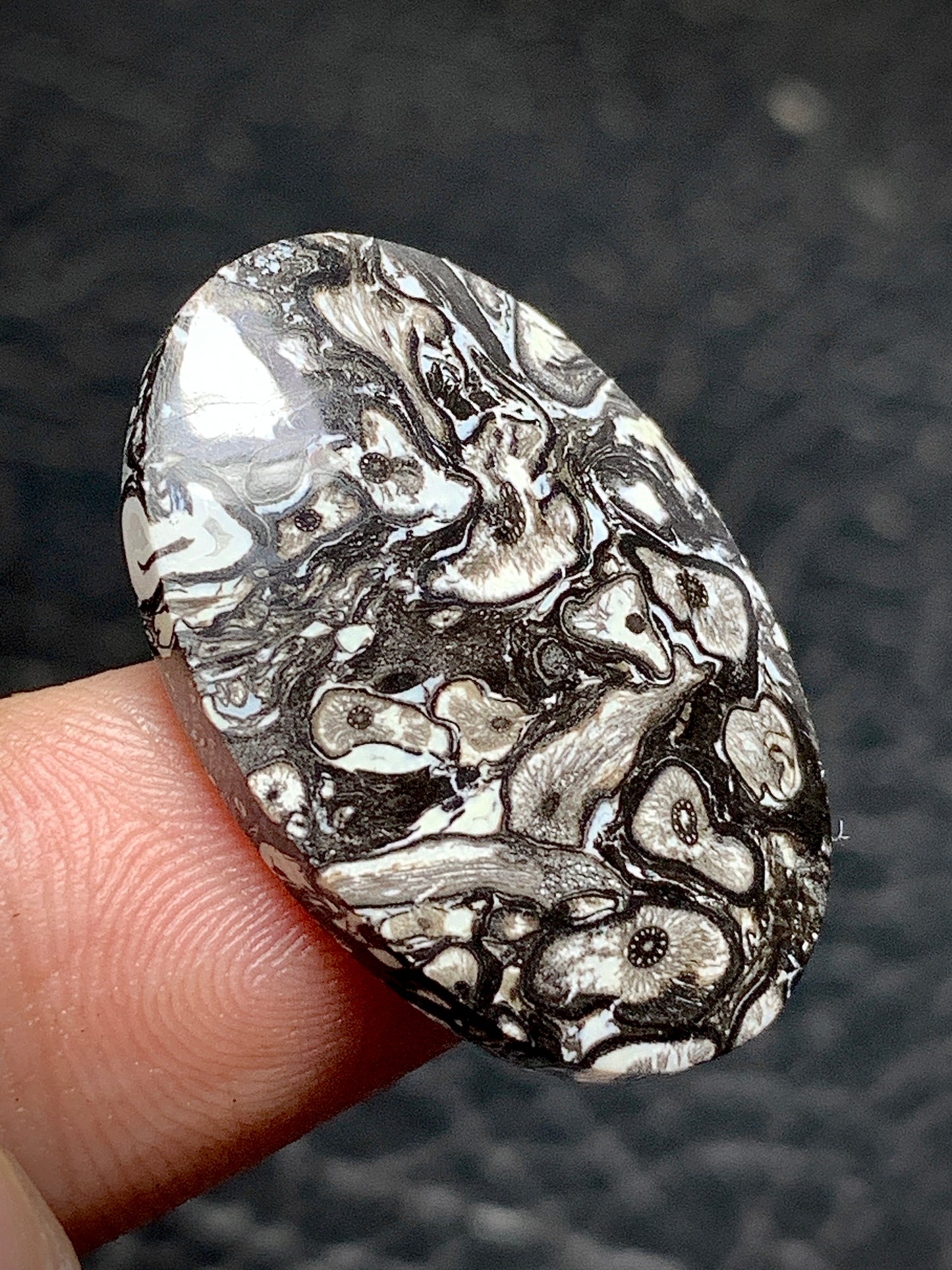 Unique Palmroot Oval Cabochon 26.5x17.5x5mm