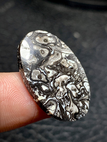 Unique Palmroot Oval Cabochon 26.5x17.5x5mm