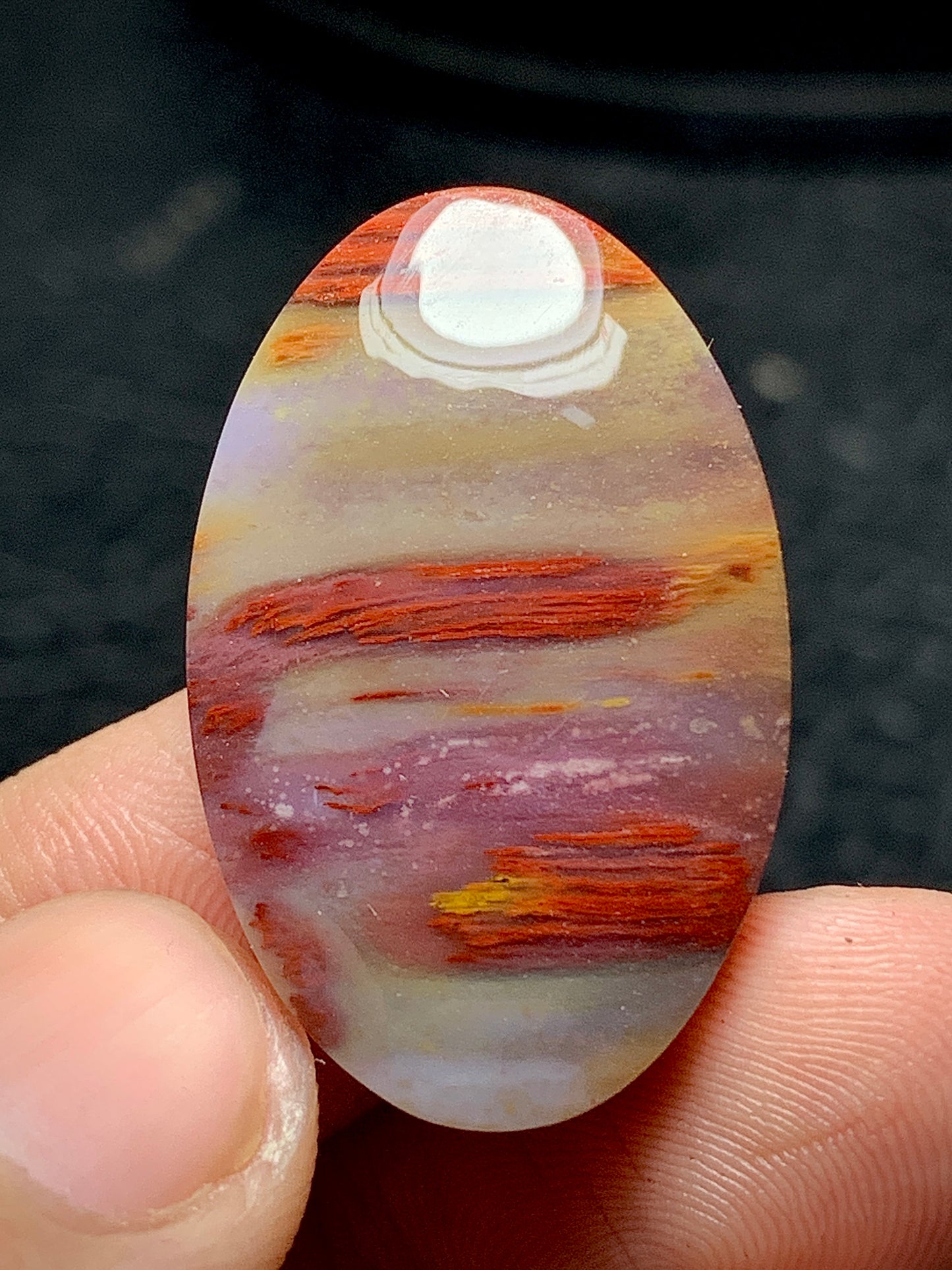 Unique Multicolor Petrified Palmwood Oval Cabochon 29.6x19x5.2mm