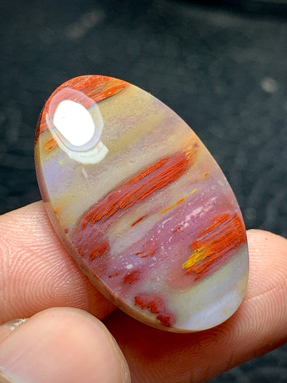 Unique Multicolor Petrified Palmwood Oval Cabochon 29.6x19x5.2mm