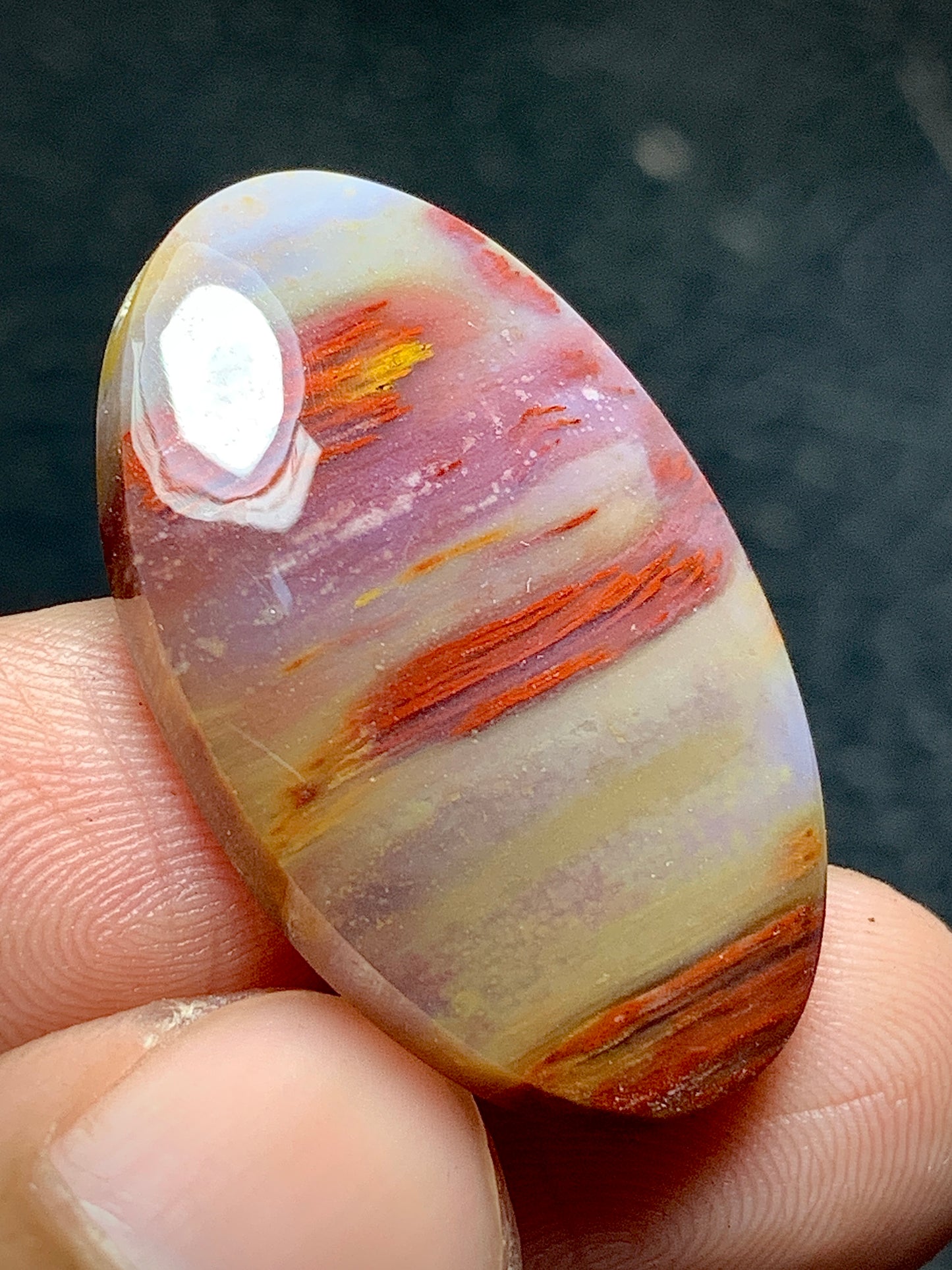 Unique Multicolor Petrified Palmwood Oval Cabochon 29.6x19x5.2mm