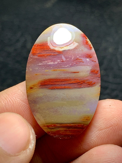 Unique Multicolor Petrified Palmwood Oval Cabochon 29.6x19x5.2mm