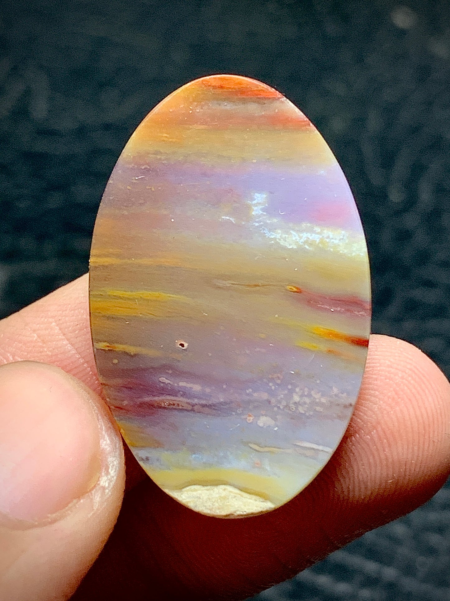 Unique Multicolor Petrified Palmwood Oval Cabochon 29.6x19x5.2mm