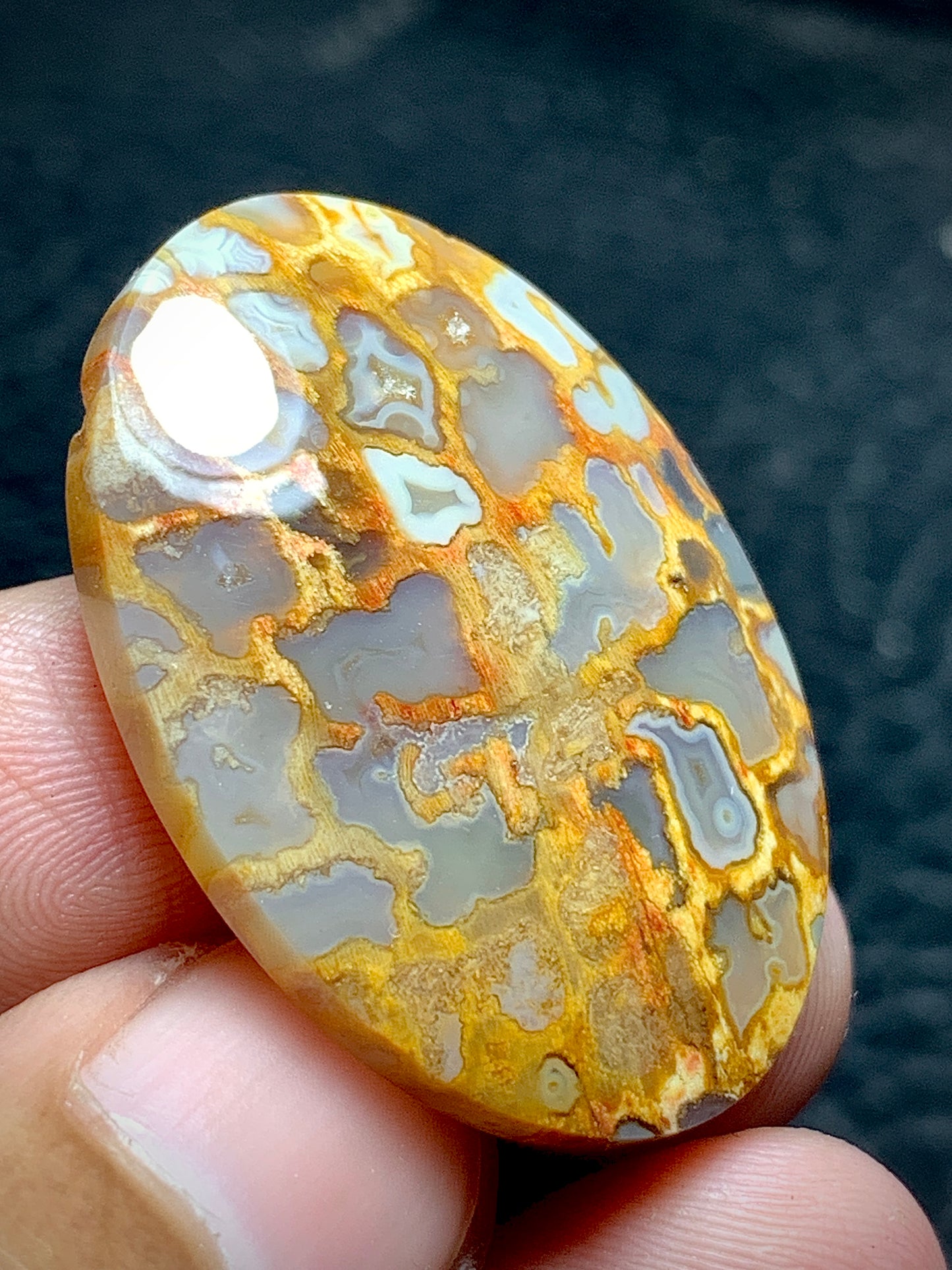 Petrified Palm Root Oval Cabochon 33x22.5x6 mm with Unique Pockets Fortifications