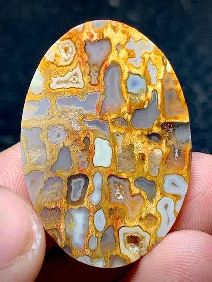 Petrified Palm Root Oval Cabochon 33x22.5x6 mm with Unique Pockets Fortifications