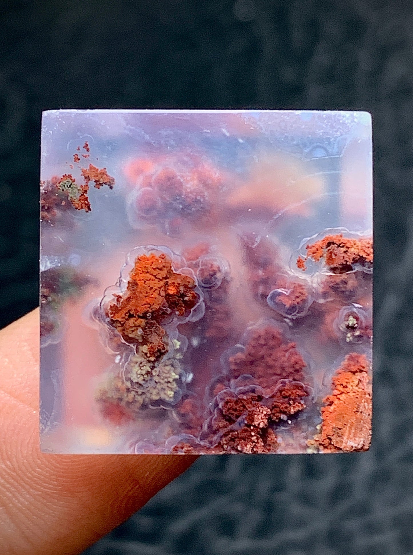 Scenic Moss Agate Square Cabochon 20x20x5.2mm