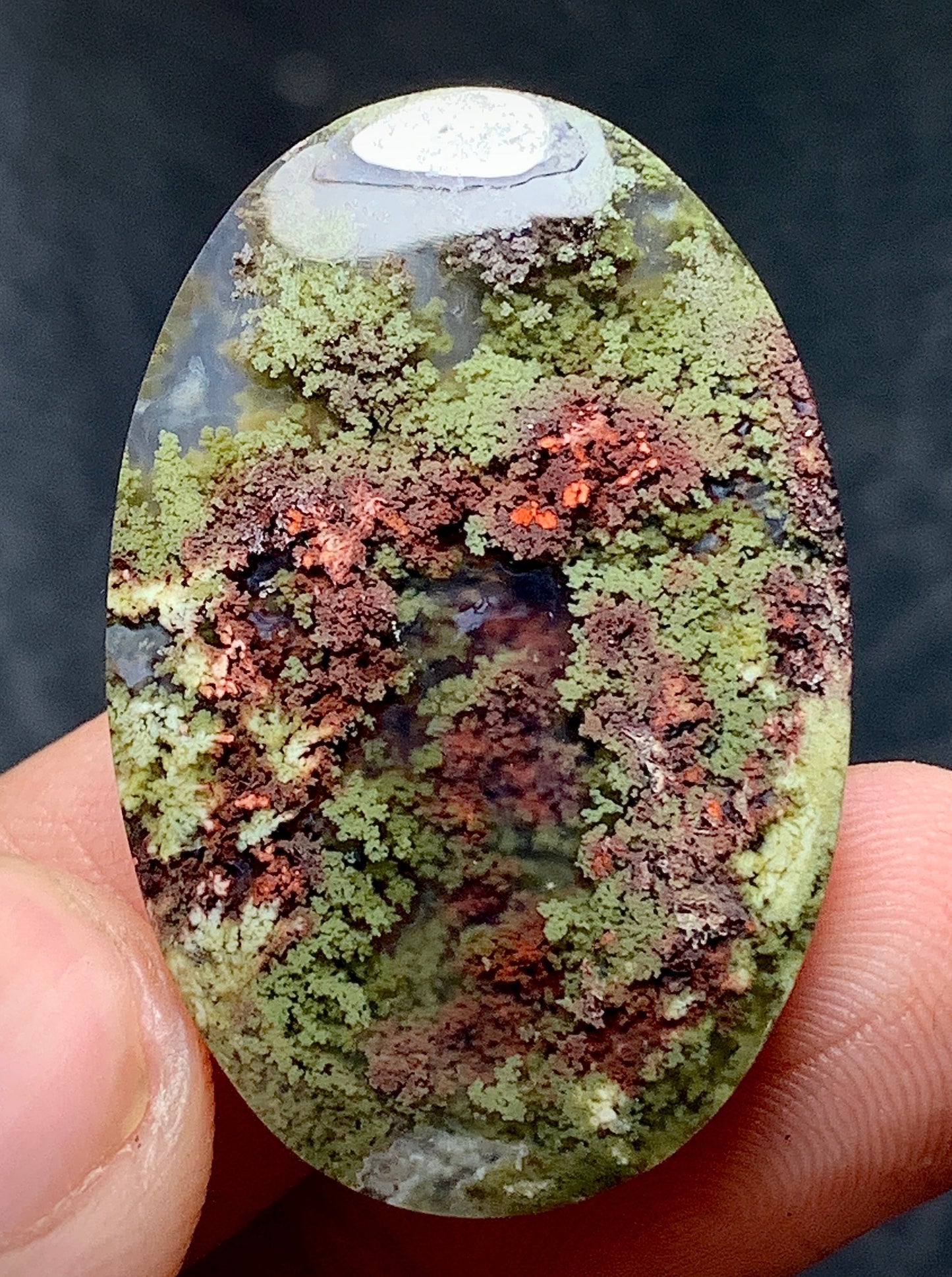 Scenic Moss Agate