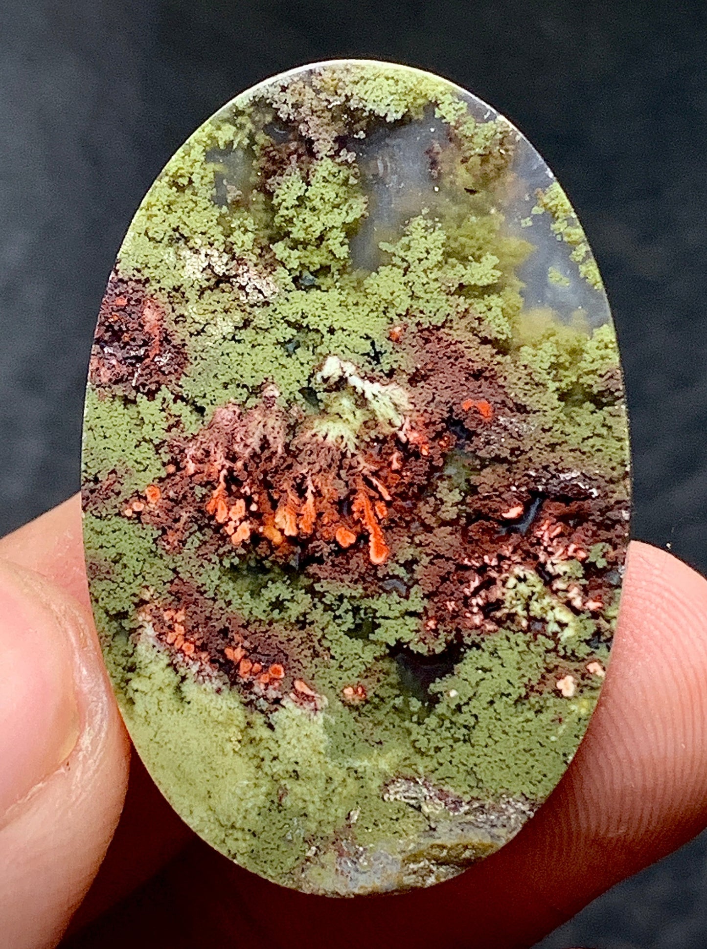 Scenic Moss Agate Oval Cabochon 32x21x5.5mm