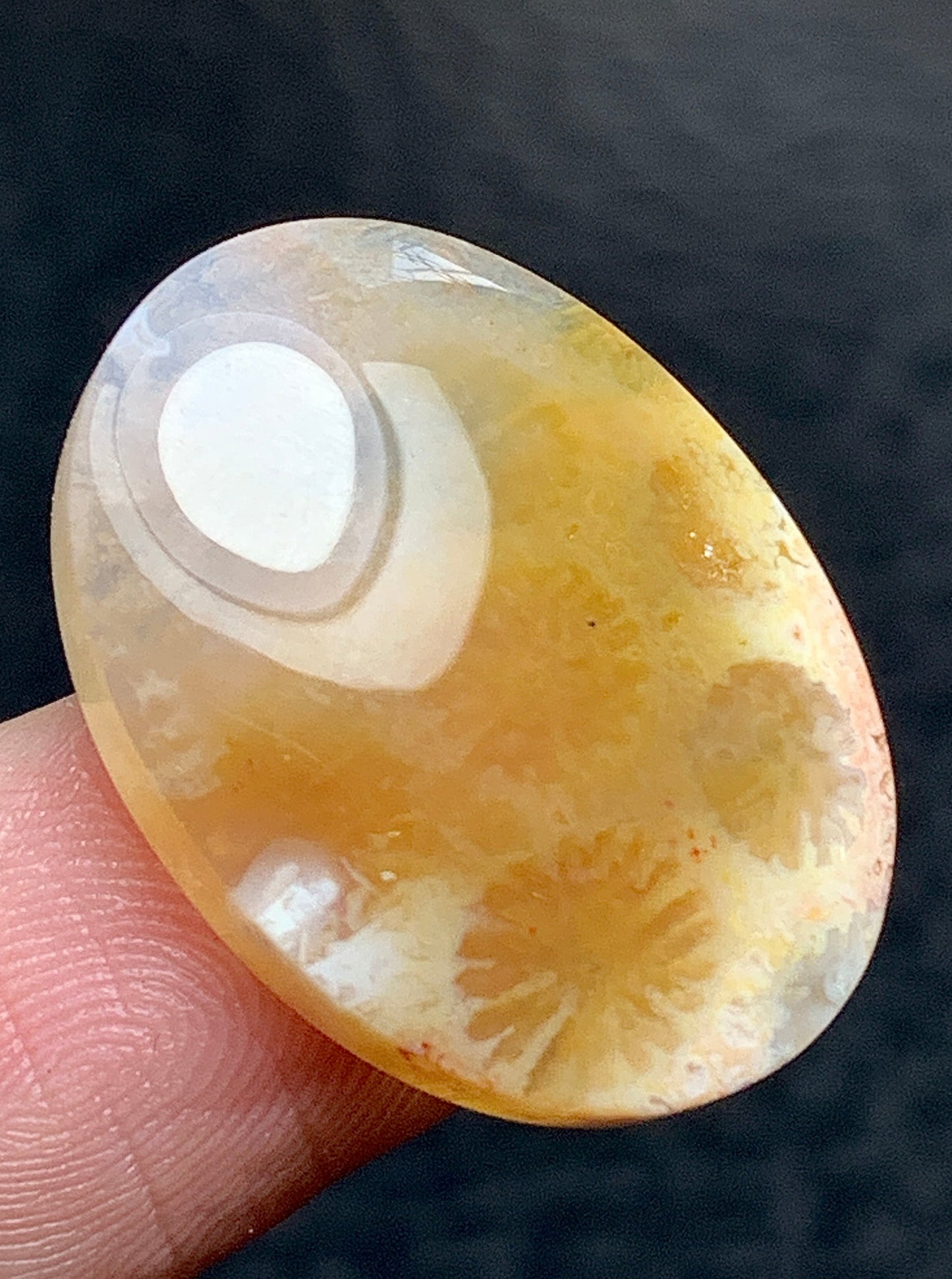 Unique Coral Fossil Oval Cabochon 23x17x5mm