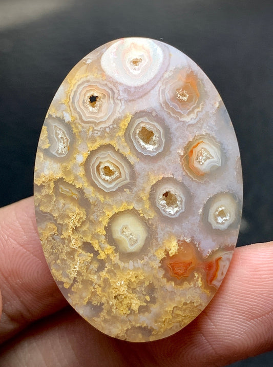 Unique Coral Fossil Oval Cabochon 35.6x24.5x6mm