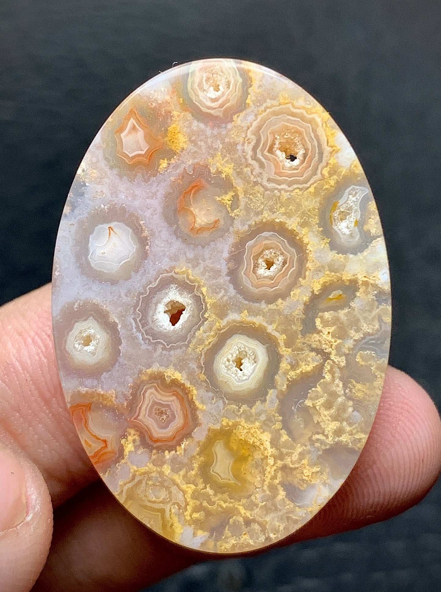 Unique Coral Fossil Oval Cabochon 35.6x24.5x6mm