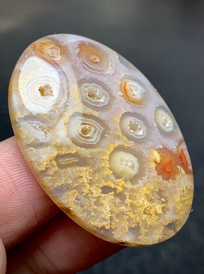 Unique Coral Fossil Oval Cabochon 35.6x24.5x6mm