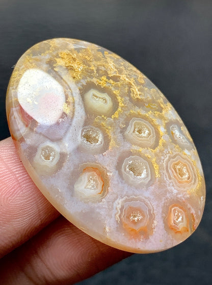 Unique Coral Fossil Oval Cabochon 35.6x24.5x6mm