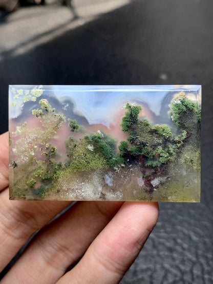 Scenic Moss Agate Cabochon 52.5x32x5 mm with Underwater Landscape Patterns