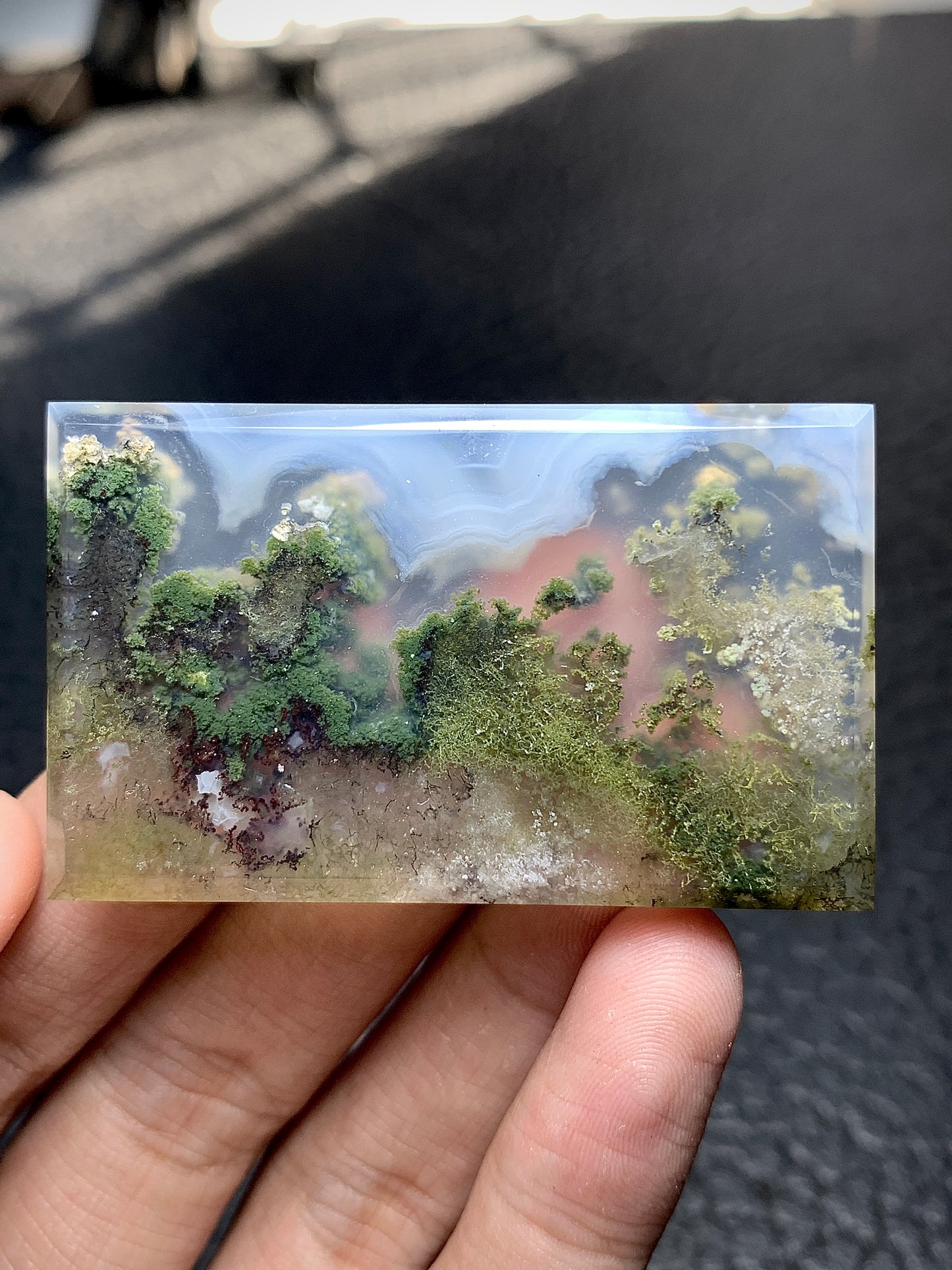 Scenic Moss Agate Cabochon 52.5x32x5 mm with Underwater Landscape Patterns