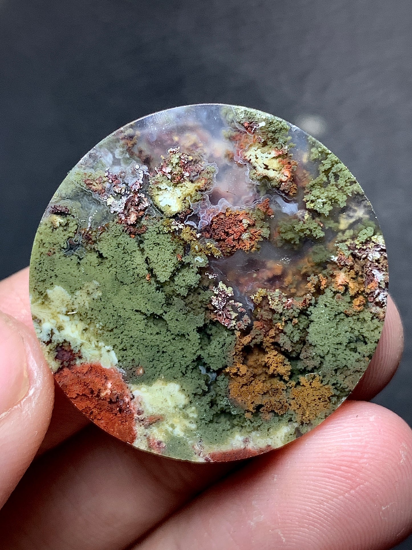 Scenic Moss Agate Round Cabochon 29.5x29.5x6.3mm