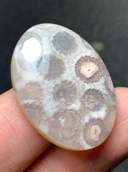 Unique Coral Fossil Oval Cabochon 25.8x18.5x6mm