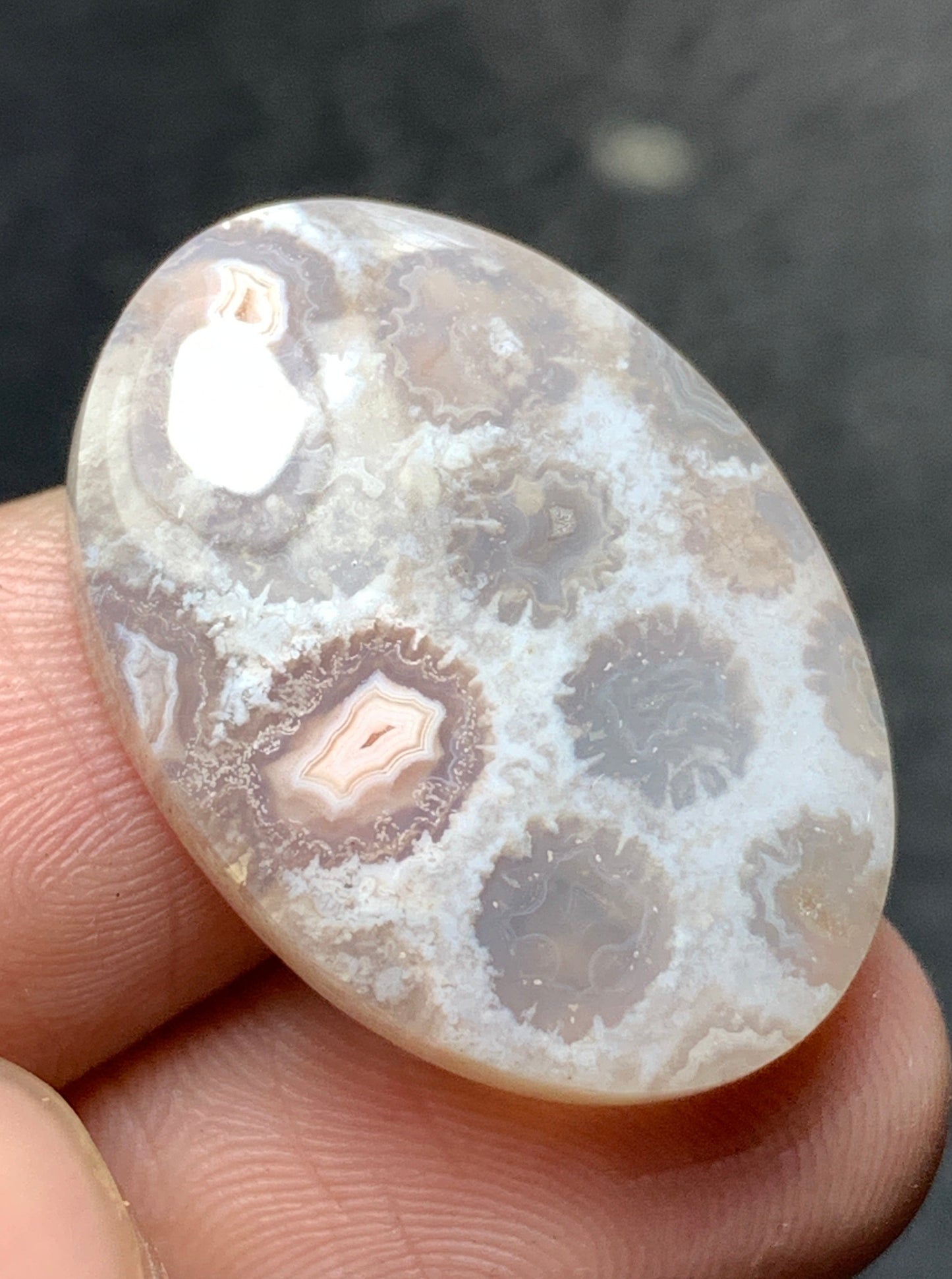 Unique Coral Fossil Oval Cabochon 25.8x18.5x6mm