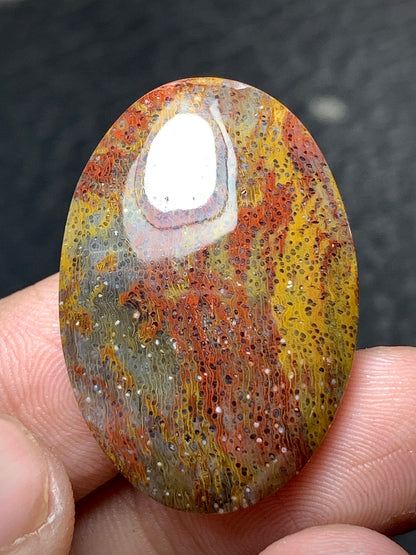 Multicolor Petrified Palmwood Oval Cabochon 30.3x21x6mm