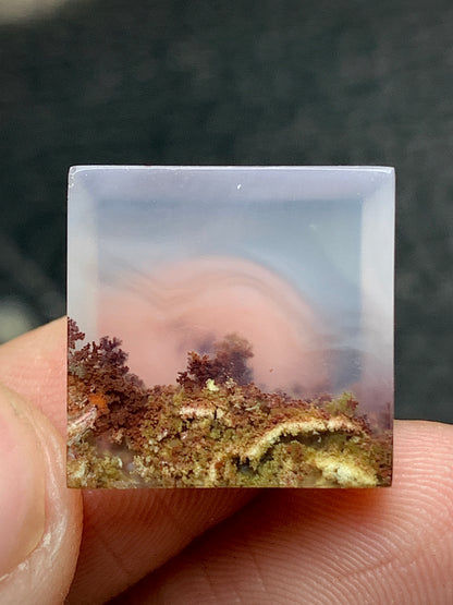 Tiny Scenic Moss Agate Square Cabochon 16x16x5mm