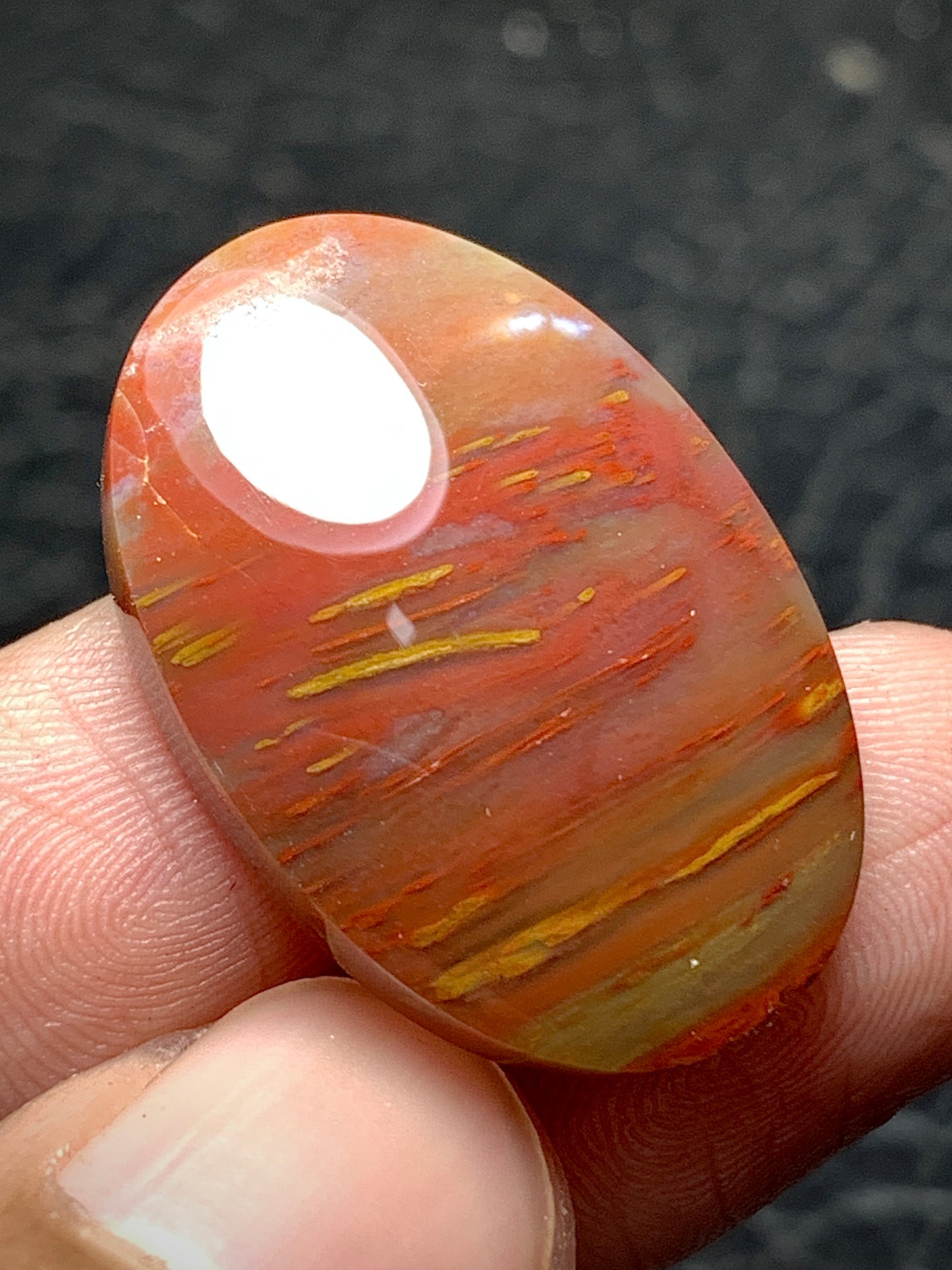 Multicolor Petrified Palmwood Oval Cabochon 28x18.3x6mm