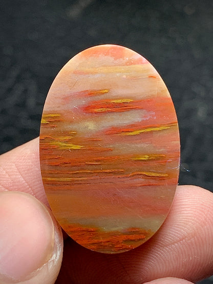 Multicolor Petrified Palmwood Oval Cabochon 28x18.3x6mm