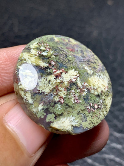 Moss Plume Agate Round Cabochon 29x29x6.5mm